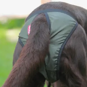 Трусы для собак OSSO Comfort, р.XS