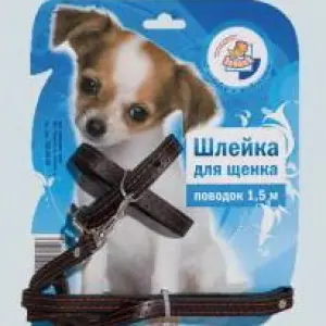 Шлейка д/щенка + поводок 1,5м (цвет бежевый), кожа, 12мм