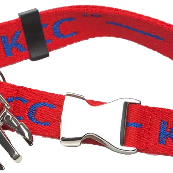 Brand C 15/45 KCC red - ошейник нейлоновый с металической застежкой.