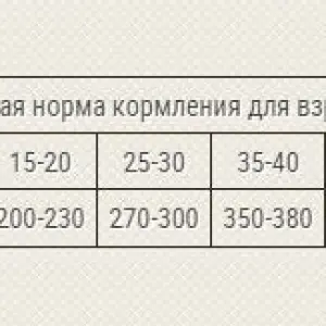 Grandorf 4 Вида мяса для средних и крупных пород 3 кг