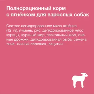 18кг ORGANIX Adult Dog Lamb / Rice сухой корм для взрослых собак с чувствительным пищеварением ЯГНЕНОК / РИС 22/10