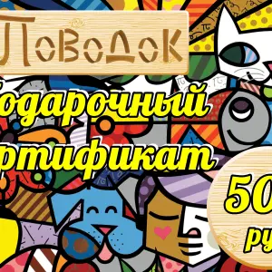 Подарочный сертификат. Номинал 500 рублей.