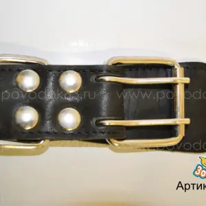 Ошейник Зооник кожа 45мм (коса+табл.)