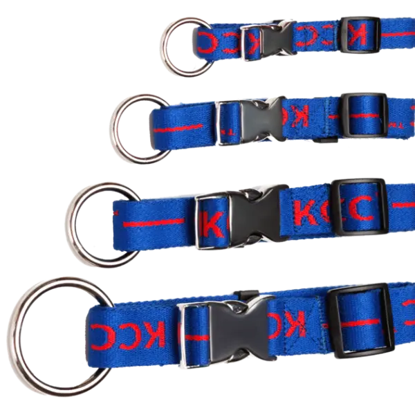Brand C 20/55 KCC Blue - ошейник нейлоновый с металической застежкой