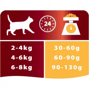 Pro Plan Adult для взрослых кошек, курица 3кг