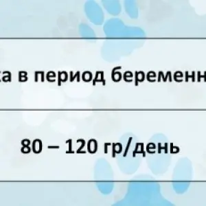 FRAIS ADULT CAT TURKEY 35/14 10кг