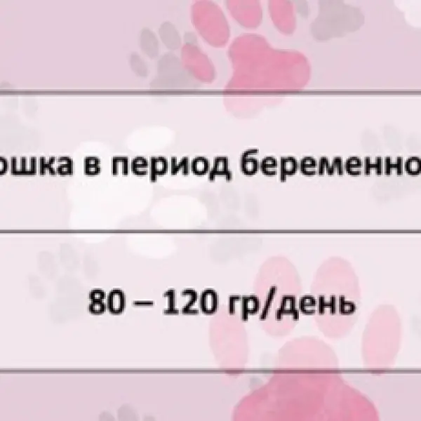 FRAIS STERILISED CAT LAMB 32/12 500гр