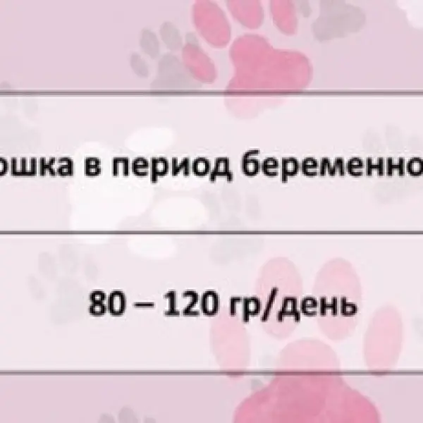 FRAIS STERILISED CAT LAMB 32/12 10кг