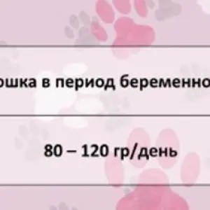 FRAIS STERILISED CAT LAMB 32/12 10кг