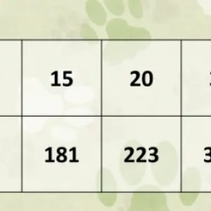 FRAIS ADULT DOG LAMB (на ягненке для средних и крупных собак) 24/12 15кг