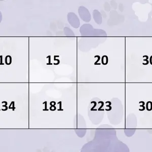 FRAIS ADULT DOG RABBIT (на кролике для средних и крупных собак) 24/12 15кг