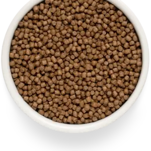 GRANDORF FRESH СВЕЖЕЕ МЯСО ЯГНЕНКА С БАТАТОМ ДЛЯ КОТЯТ 2кг