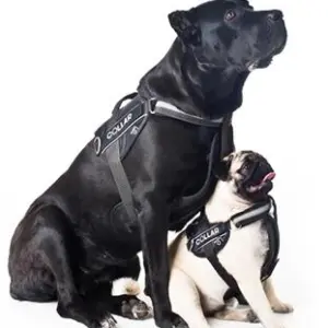 Шлея "Dog Extreme" "Police" №2, черная
