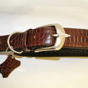 Ошейник "ALLIGATOR" коричневый верх/черный низ, ширина 35мм, длина 60-72см